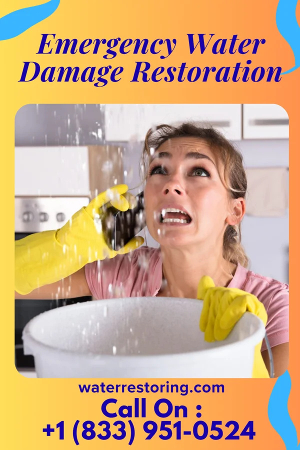 Emergency Water Damage Restoration in Seymour, WI