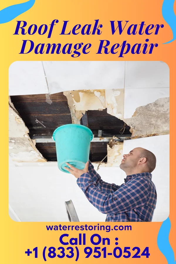 Roof Leak Water Damage Repair in Seymour, WI
